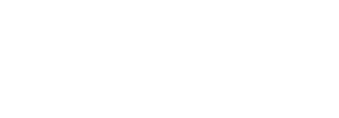Logo-LinkedIn-blanc b