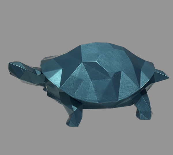 Speedy Turquesa